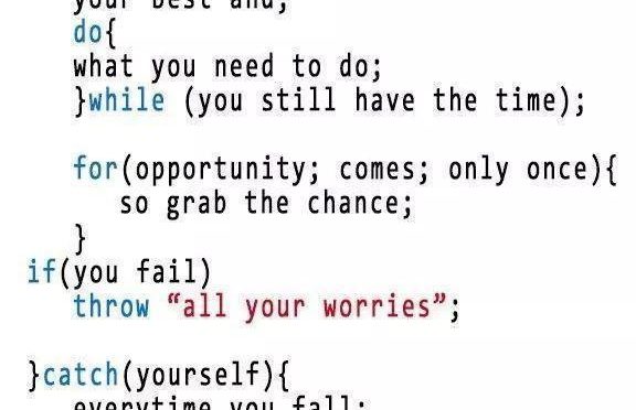 Programmer’s quote