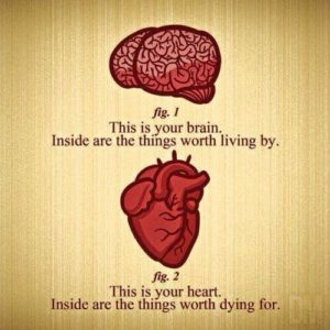 brain and heart