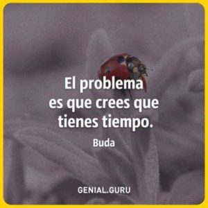 El problema